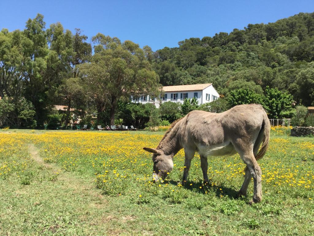 Le Manoir De Port-Cros Hotell Eksteriør bilde